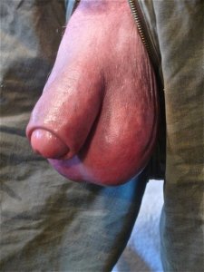 Big Bull Balls